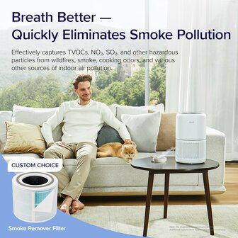 Levoit Core 300 air purifier